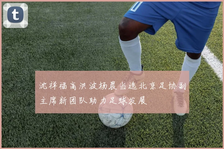 沈祥福高洪波杨晨当选北京足协副主席新团队助力足球发展